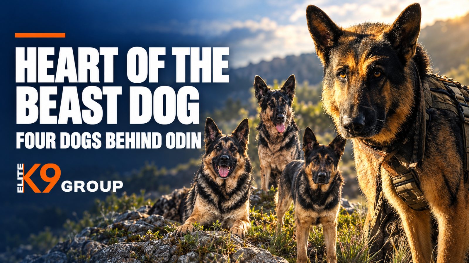 Cinematic illustration of four German Shepherds for the Heart of the Beast Dog article by Elite K9 Group