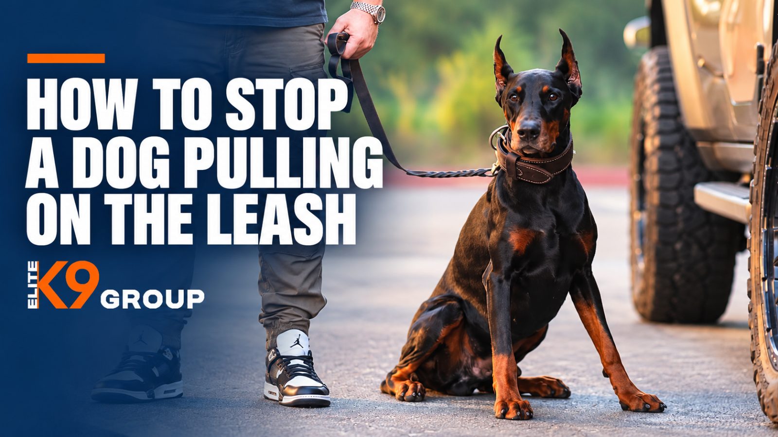 Black dog sitting calmly beside its handler on a leash in Los Angeles
