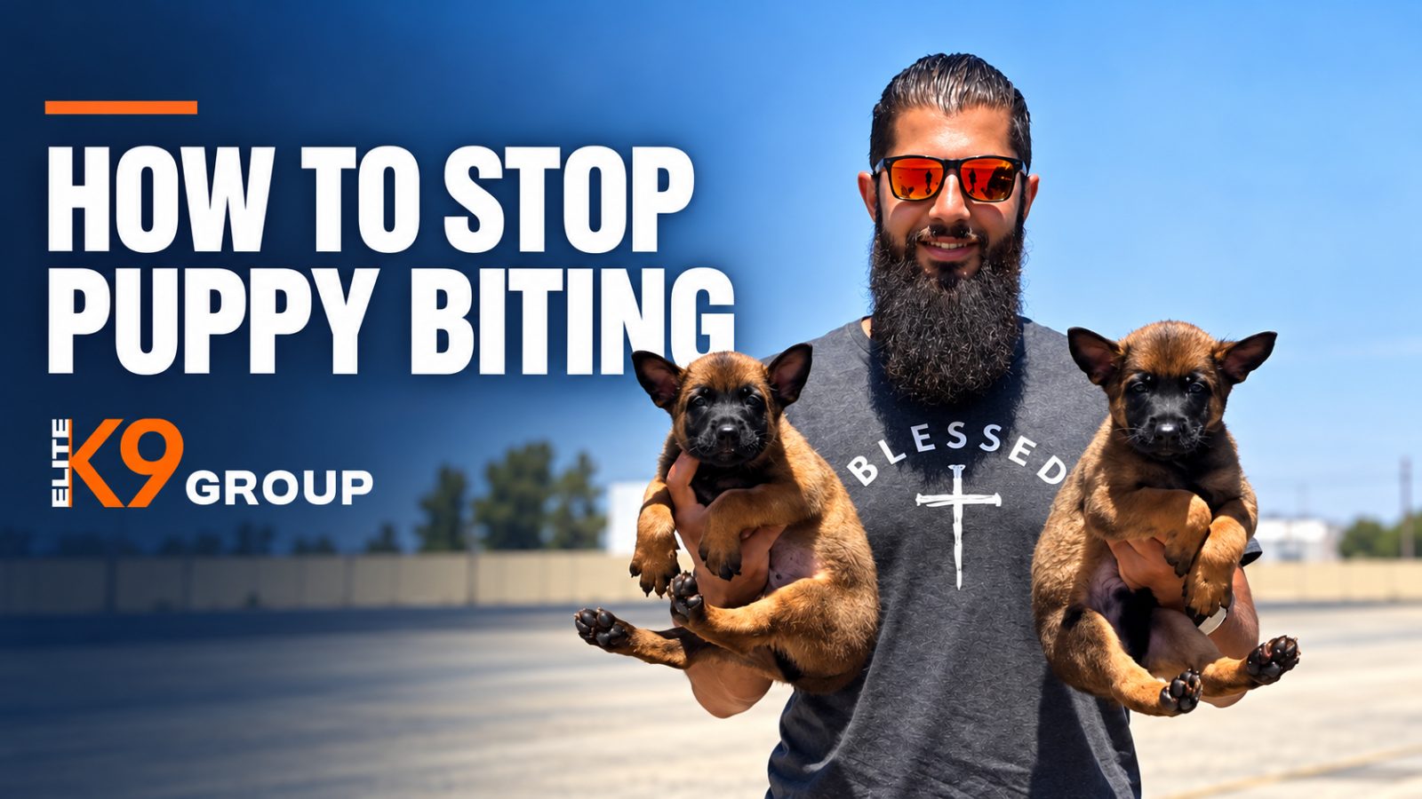 Elite K9 Group team member holding two Belgian Malinois puppies outdoors