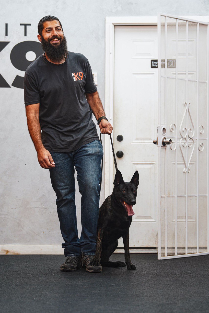 Elite K9 trainer with protection dog