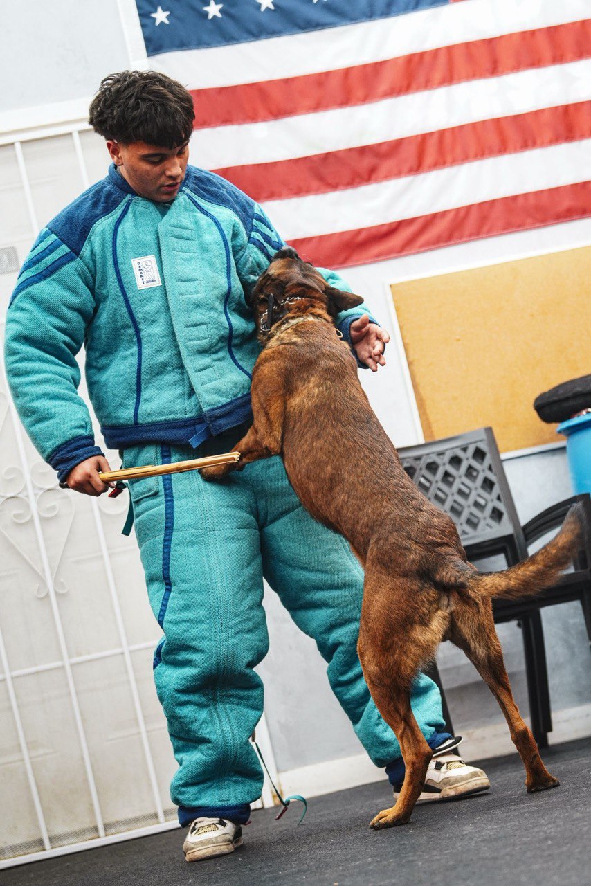 Elite K9 Team Member
