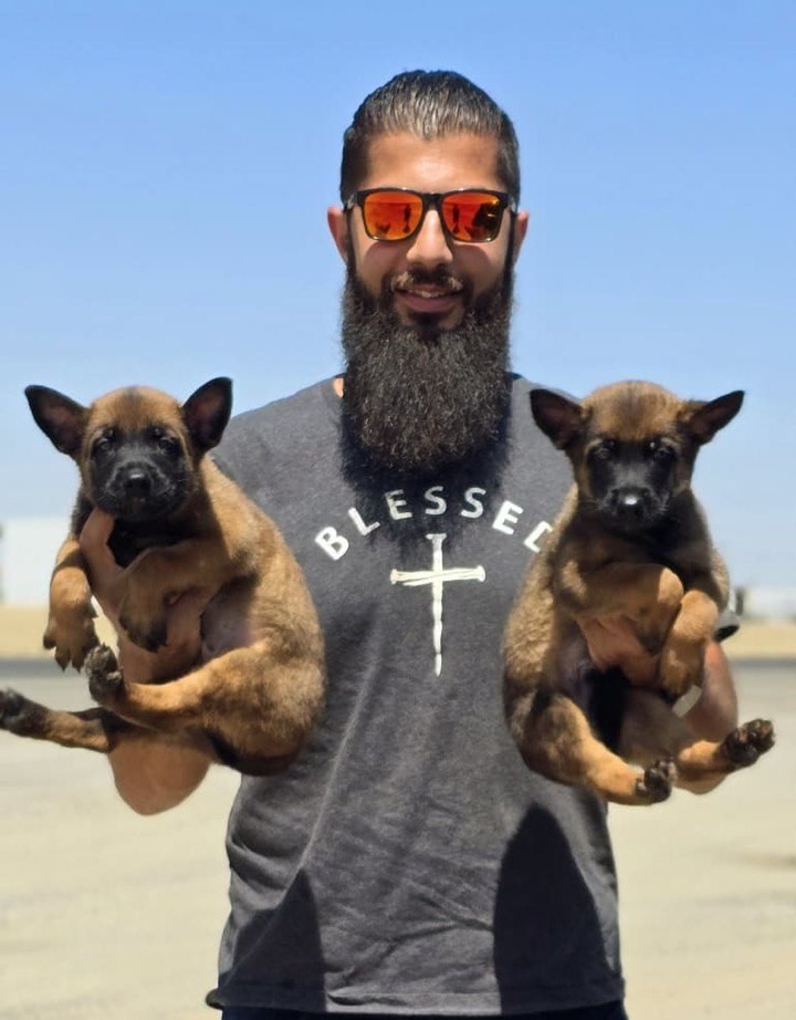 Puppy Training